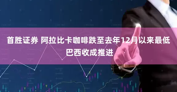 首胜证券 阿拉比卡咖啡跌至去年12月以来最低 巴西收成推进