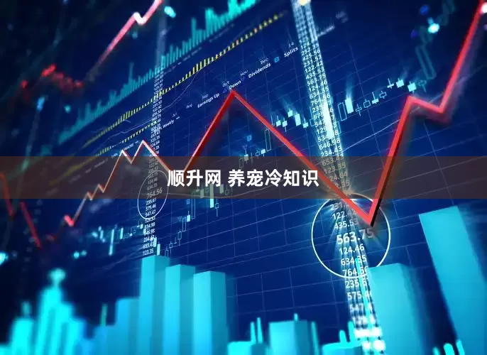 顺升网 养宠冷知识