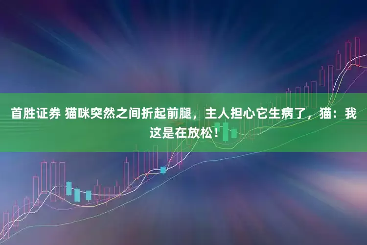 首胜证券 猫咪突然之间折起前腿，主人担心它生病了，猫：我这是在放松！