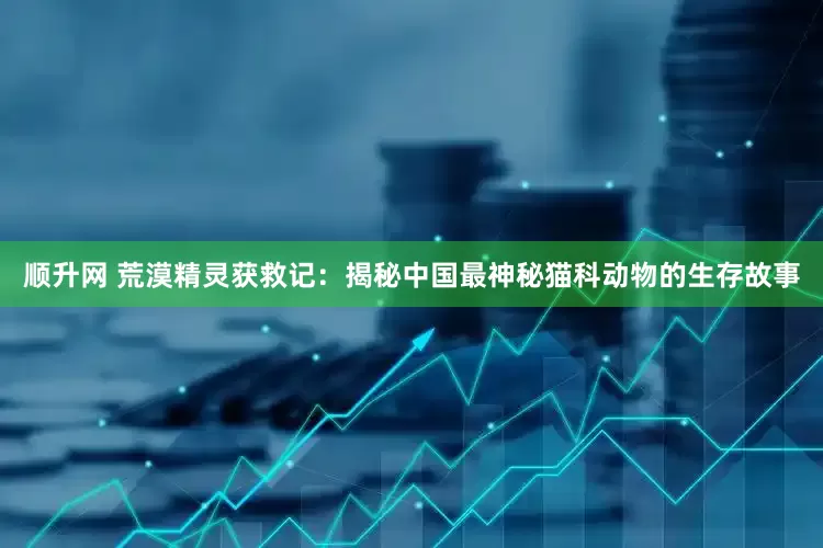 顺升网 荒漠精灵获救记：揭秘中国最神秘猫科动物的生存故事